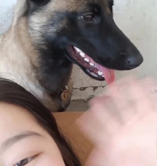 何时上班养狗？（工作时间和狗狗生活的平衡，）