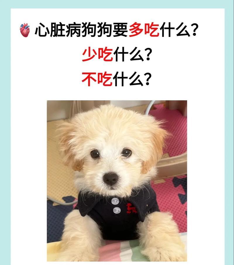 狗狗生病了，如何正确喂养？（探讨狗狗生病时的合理饮食安排）