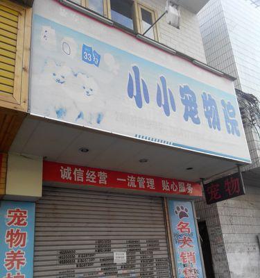 如何合理经营宠物店，让宠物店关门成为历史（宠物店经营技巧与注意事项，让你的店铺长盛不衰）