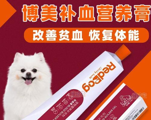 狗狗喂营养膏的最佳时间（掌握喂养时机，让狗狗更健康）