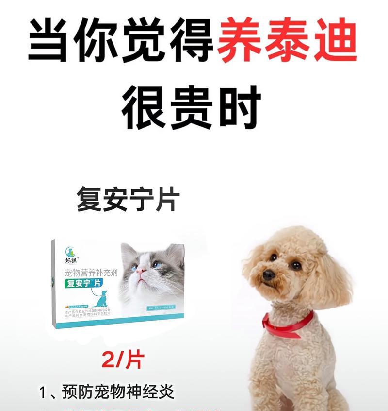 泰迪小狗的饮食要点（科学合理的饮食习惯是健康宠物的关键）