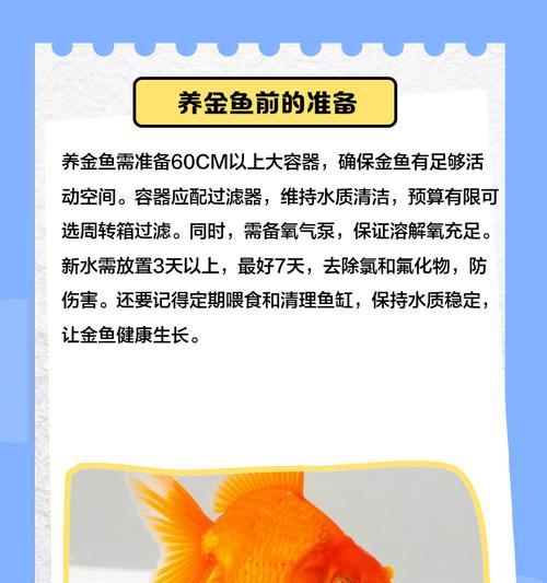 金鱼饲养指南（金鱼喂食频率与健康生长密切相关）