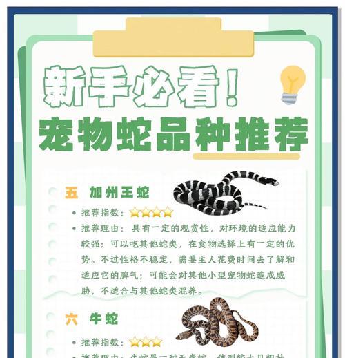 异宠界冷峻代表——适新品种宠物蛇的魅力剖析（适新品种宠物蛇）