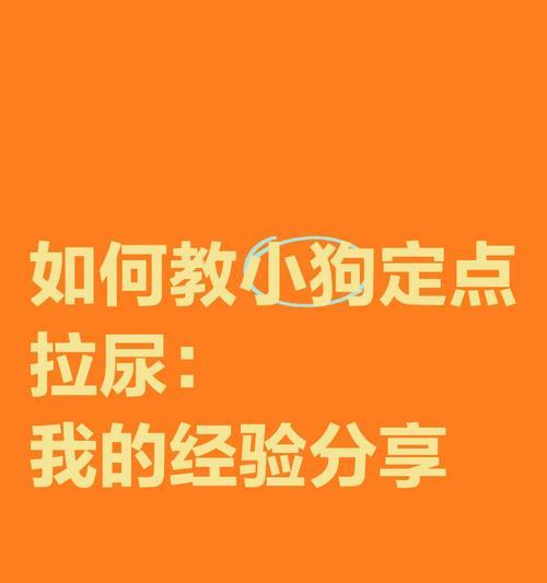 小狗的排尿频率及养护（小狗排尿频率的规律及注意事项）