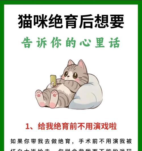 母猫生完崽后多久可以绝育？（关于母猫产后绝育的常见问题解答）
