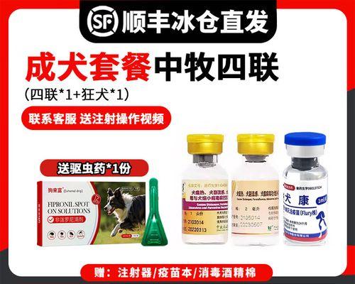 狗狗吃完驱虫药多久可以打疫苗？（正确的时间安排是保护宠物健康的关键）