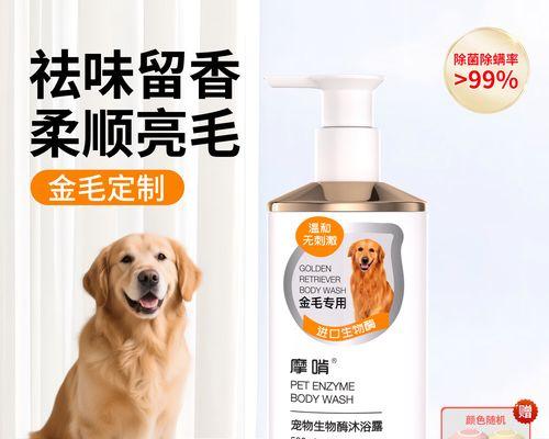 金毛幼犬驱虫后多久可以洗澡？（合理的洗澡时间对金毛幼犬健康至关重要）