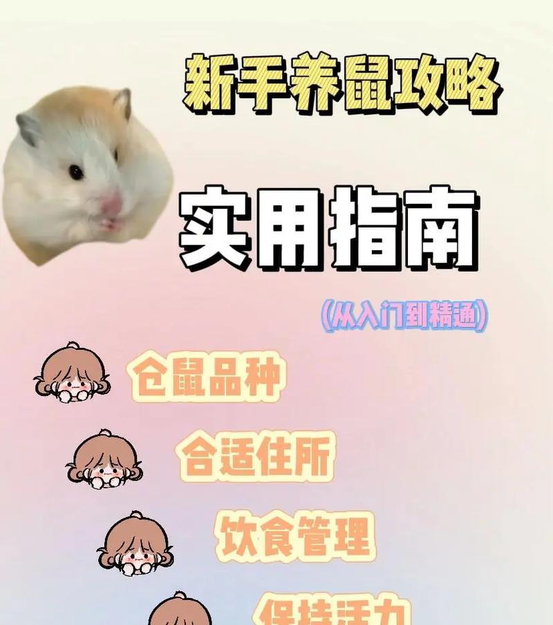如何科学养育金丝熊（打造舒适的家园，关注它们的饮食和保健，让金丝熊快乐成长）