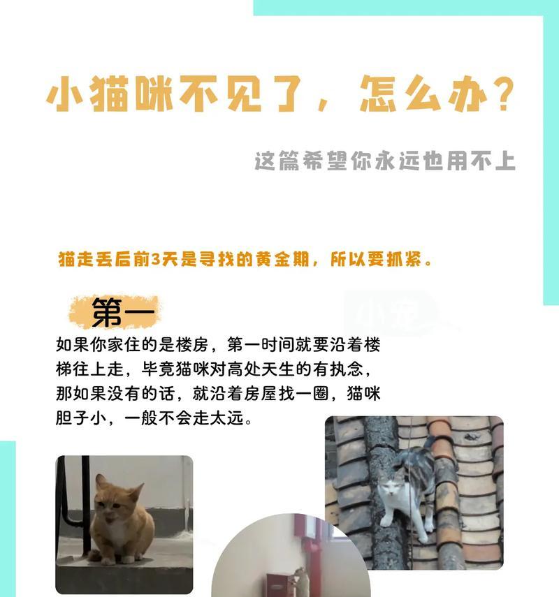 迷失的小猫咪，快速寻找方法大揭秘（别着急！几招教你轻松找回宠物猫咪）
