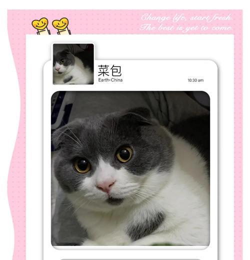 以一般折耳多久发病为主题的研究（折耳猫遗传疾病的发病时间探究）