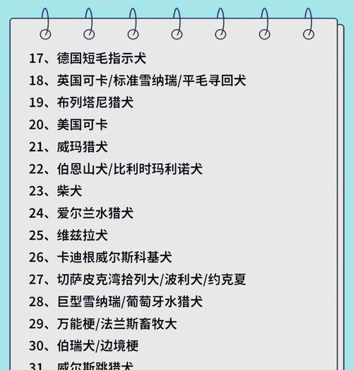探究中小型犬的智商水平（了解中小型犬的智商等级及训练难度）