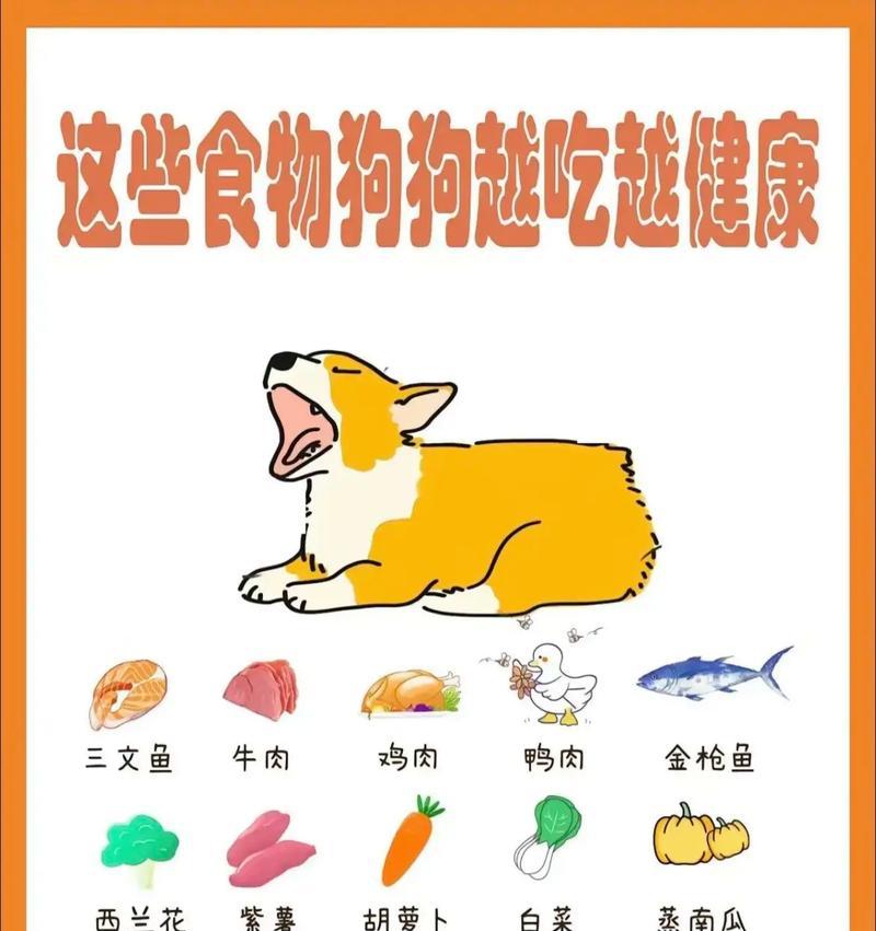 狗狗孕期（探秘狗狗孕期的正常持续时间以及适宜的饮食安排）