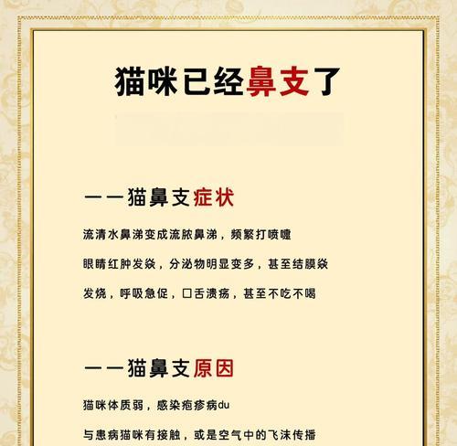 猫咪鼻子干燥的原因及解决方法（了解猫咪鼻子干燥的常见原因和有效的解决方法）