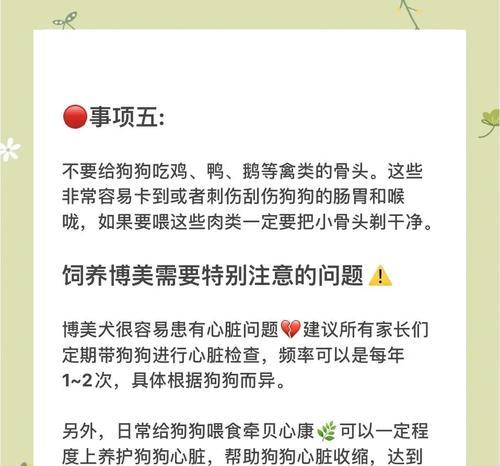 解决博美挑食问题的方法（为你的博美定制专属饮食计划，告别挑食烦恼）