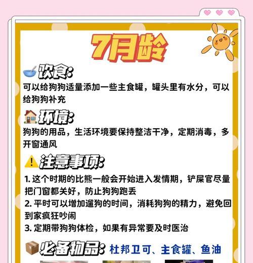 比熊幼犬驱虫的频率及注意事项（了解比熊幼犬驱虫的最佳时间和方法，保持宠物的健康与快乐）