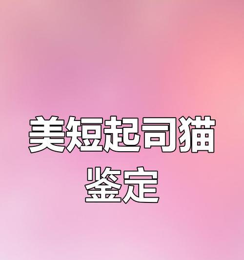 探寻美国短毛猫的品种及价格（了解不同品种的美国短毛猫及其市场价格）
