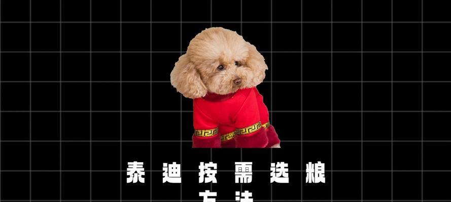 泰迪狗粮泡水时间的合理安排（揭秘泰迪狗粮泡水时间的正确方法及注意事项）
