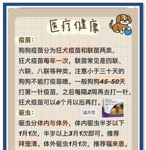 养金毛烧钱的原因及省钱方法（解密养金毛的财务成本和节约之道）