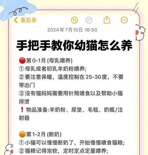如何照顾刚出生的小猫（小猫出生多久后可以独立生活）