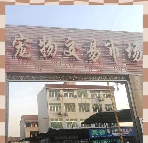 武汉著名犬舍的狗狗天堂（探索武汉的犬舍，品味纯正的爱与关怀）