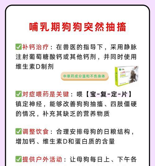 狗狗的哺乳期关注点（了解哺乳期的必要知识，让母狗和幼犬健康成长）