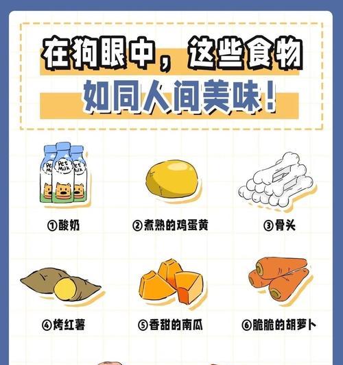 狗狗最爱吃的食物是什么？（揭秘狗狗的人间美味）