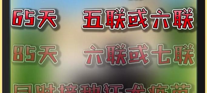 宠物狗疫苗接种指南（全面保护你的狗狗免受疾病侵害）