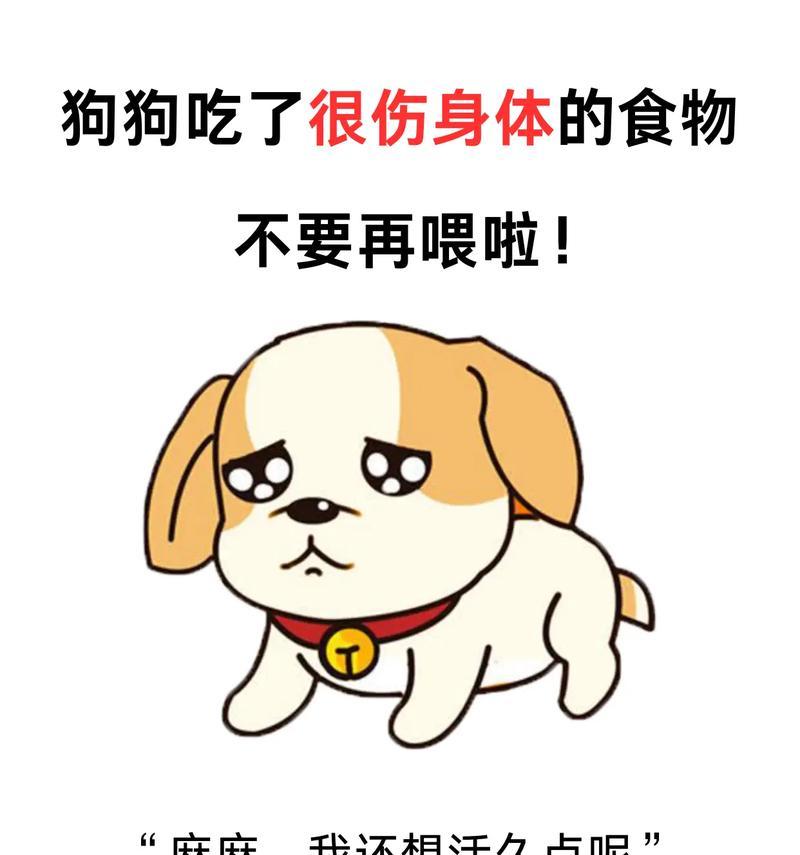如何让狗狗停止乱吃东西？（解决铲屎官烦恼的两个小妙招）