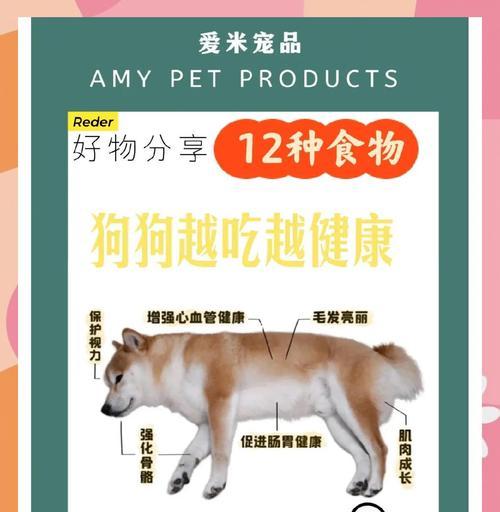 狗的健康需要哪些维生素？（解析狗狗所需维生素的种类和功能）