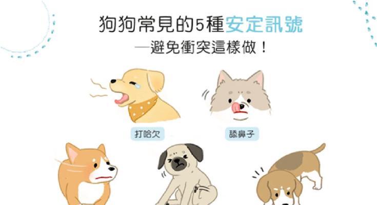 了解你家狗狗的心思，教你5种“狗语”（学会读懂狗狗的表达方式，拉近与它们的关系）