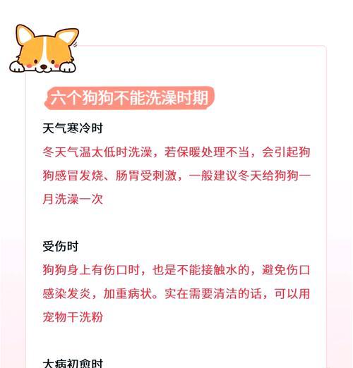 狗狗产后多久能洗澡？（宝宝们的清洁需求）