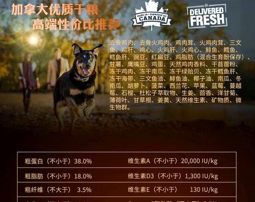 狗狗处方粮（探讨狗狗食用处方粮的时间要求及关键因素）