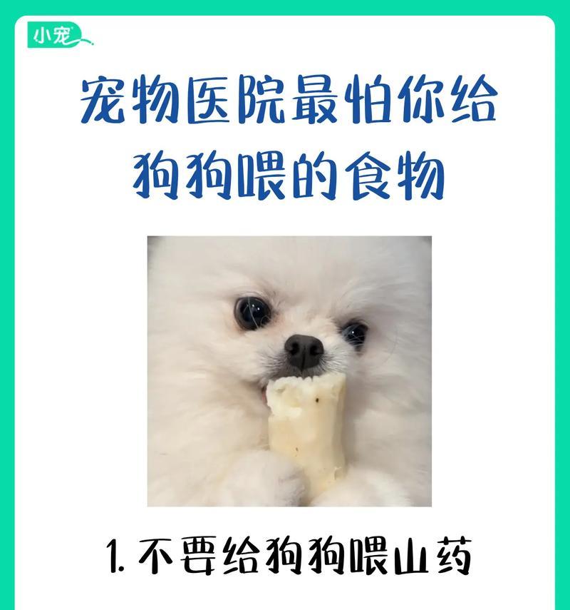 科学计算狗狗每天应该喂多少食物！（了解如何给你的狗狗提供适当的营养）