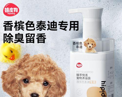 泰迪狗狗坐月子洗澡时间多久合适？（了解泰迪狗狗坐月子期间洗澡的注意事项及时间安排）
