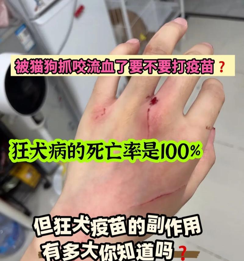 狂犬病（探索狗狂犬病的致命时间轴）