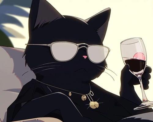 黑猫迷信背后的真相（揭开黑猫养殖背后的迷信迷思）