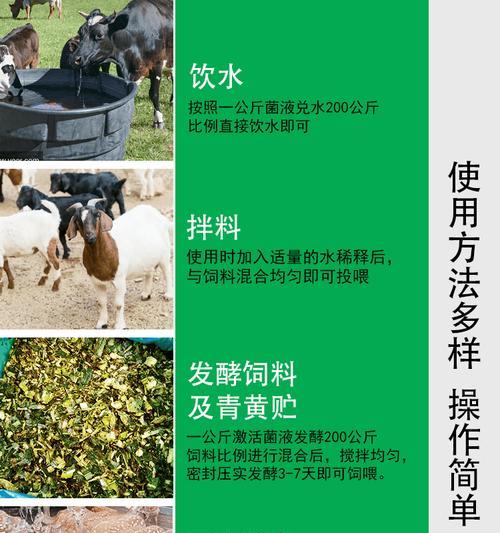 春季牛为什么不换毛？（探秘牛不换毛的原因及养牛人必知的小常识）