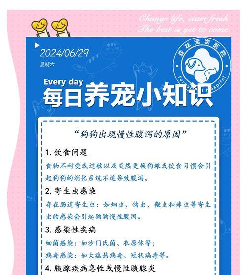 狗狗拉肚子的原因与处理方法（如何照顾拉肚子的狗狗，让它尽快康复）
