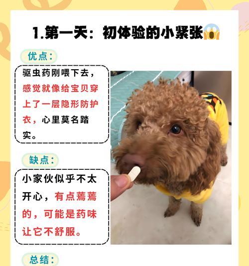 小狗使用驱虫药的时间和方法（养狗人士必知的驱虫药使用指南）