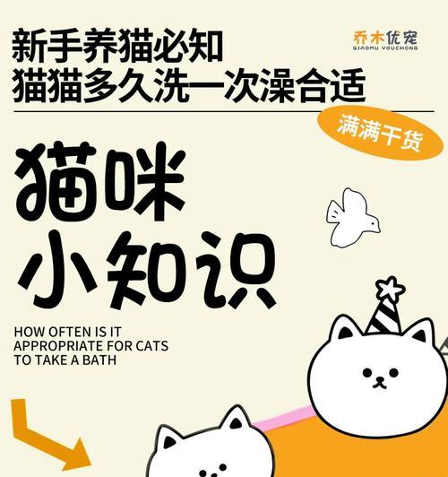 猫咪的排便频率与健康（探寻猫咪排便频率对健康的影响）
