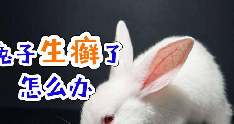兔子身上长癣如何治疗（有效方法帮助兔子摆脱身上的癣症）