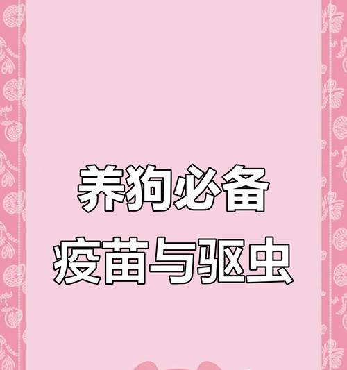 宠物狗狗的疫苗和驱虫时间表（了解狗狗的生命旅程，保护它们的健康）