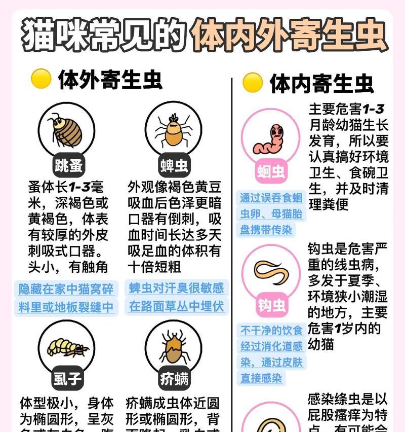 猫咪驱虫周期的重要性（保护宠物健康，提升生活质量）