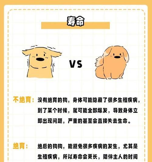 狗狗绝育（探讨狗狗绝育的利弊及适宜时机）