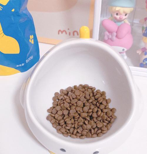 科学减肥（如何挑选适合猫咪的减肥粮）