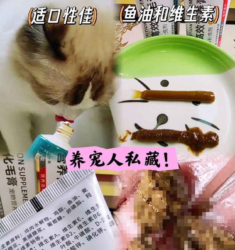 探秘猫咪舔毛的时间究竟有多长？（科学揭秘）