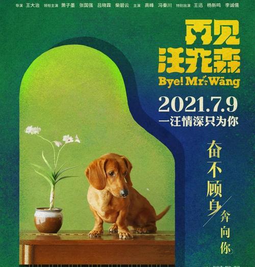 俄罗斯电影中的狗类故事（探索俄罗斯电影中关于狗的情感纽带与冒险故事）