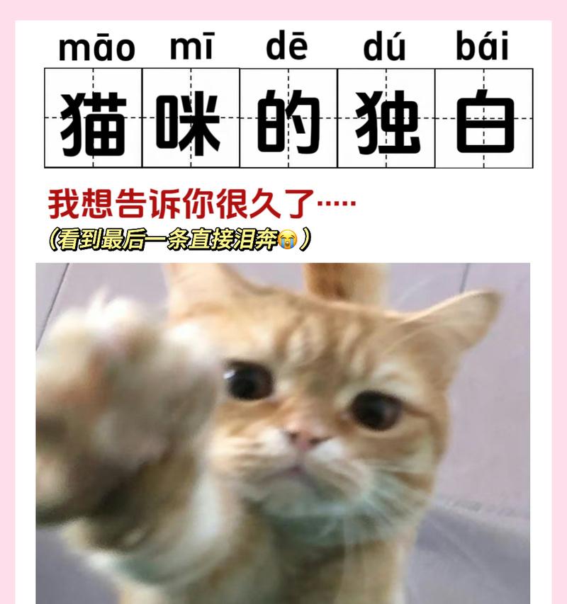 猫咪的非语言交流方式（猫咪的肢体语言、喉音和气味）