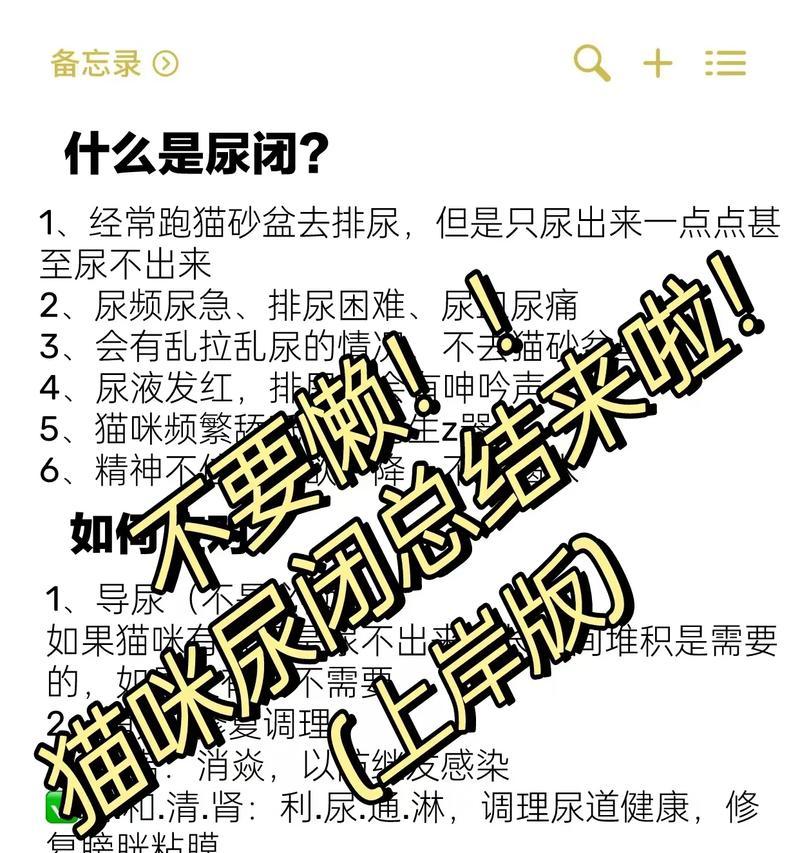 猫咪不尿多久算不正常？（解读猫咪的排尿习惯及异常情况）