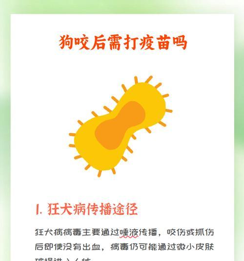 小狗打针后的反应及处理方法（了解小狗打针后的常见反应和正确的处理方式）